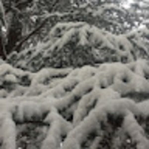 Meet your Posher, Kiertan